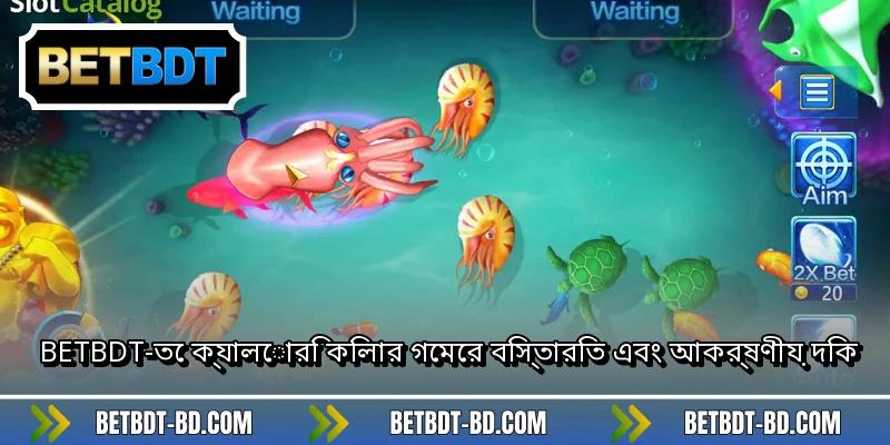 BETBDT-তে ক্যালোরি কিলার গেমের বিস্তারিত এবং আকর্ষণীয় দিক