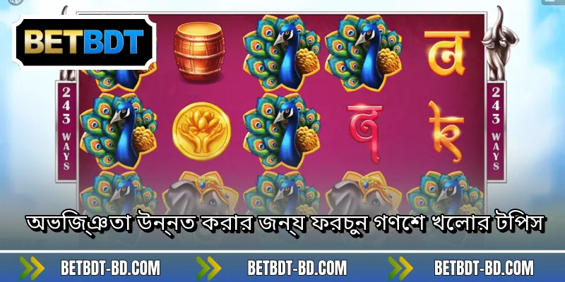 অভিজ্ঞতা উন্নত করার জন্য ফরচুন গণেশ খেলার টিপস