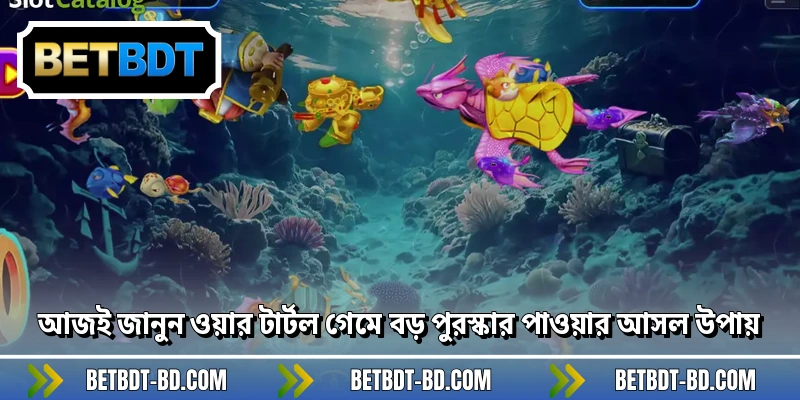 আজই জানুন ওয়ার টার্টল গেমে বড় পুরস্কার পাওয়ার আসল উপায়