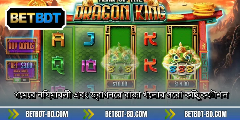 গেমের নিয়মাবলী এবং ড্রাগনের রাজা খেলার সেরা কিছু কৌশল