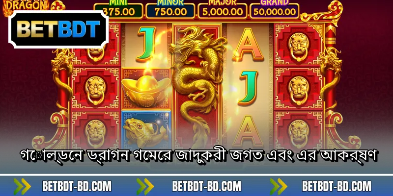 গোল্ডেন ড্রাগন গেমের জাদুকরী জগত এবং এর আকর্ষণ