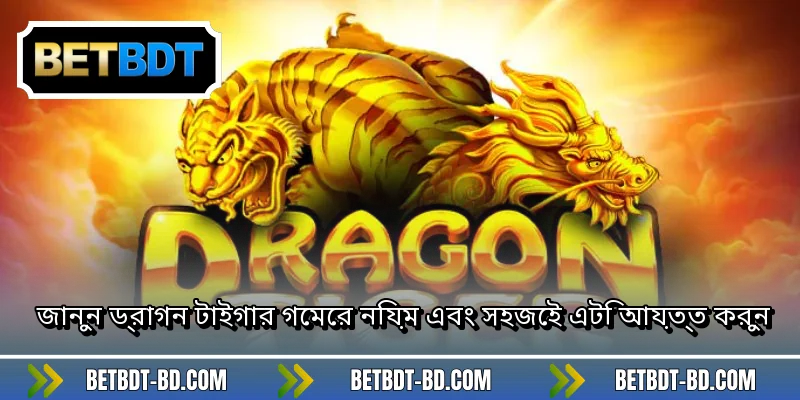 জানুন ড্রাগন টাইগার গেমের নিয়ম এবং সহজেই এটি আয়ত্ত করুন