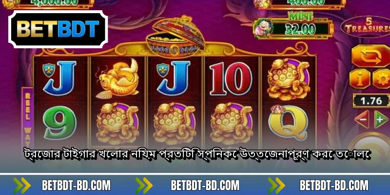 ট্রেজার টাইগার খেলার নিয়ম প্রতিটি স্পিনকে উত্তেজনাপূর্ণ করে তোলে
