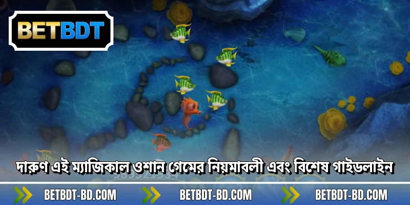 দারুণ এই ম্যাজিকাল ওশান গেমের নিয়মাবলী এবং বিশেষ গাইডলাইন