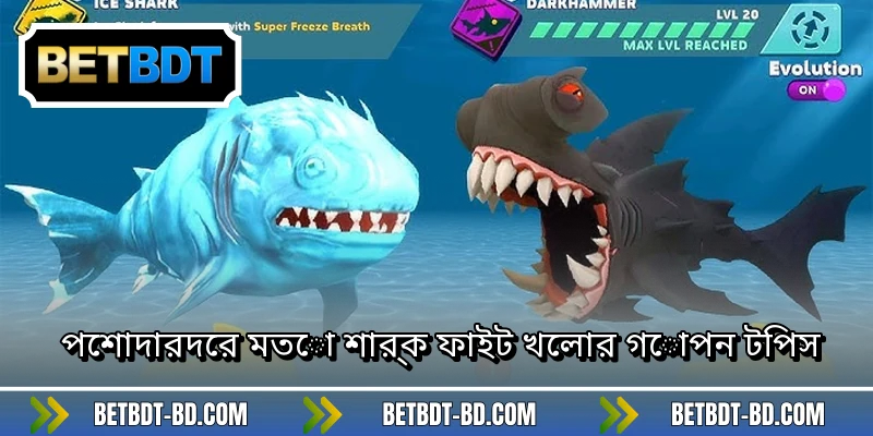 পেশাদারদের মতো শার্ক ফাইট খেলার গোপন টিপস