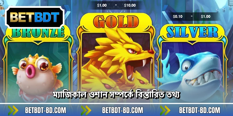 ম্যাজিকাল ওশান সম্পর্কে বিস্তারিত তথ্য