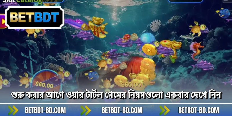 শুরু করার আগে ওয়ার টার্টল গেমের নিয়মগুলো একবার দেখে নিন