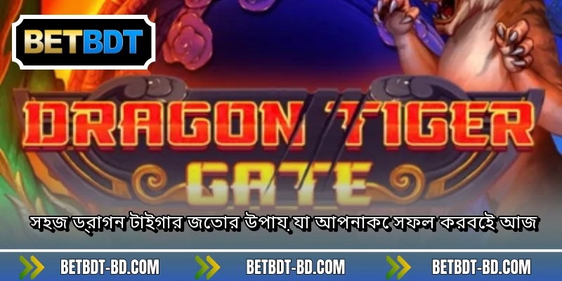 সহজ ড্রাগন টাইগার জেতার উপায় যা আপনাকে সফল করবেই আজ