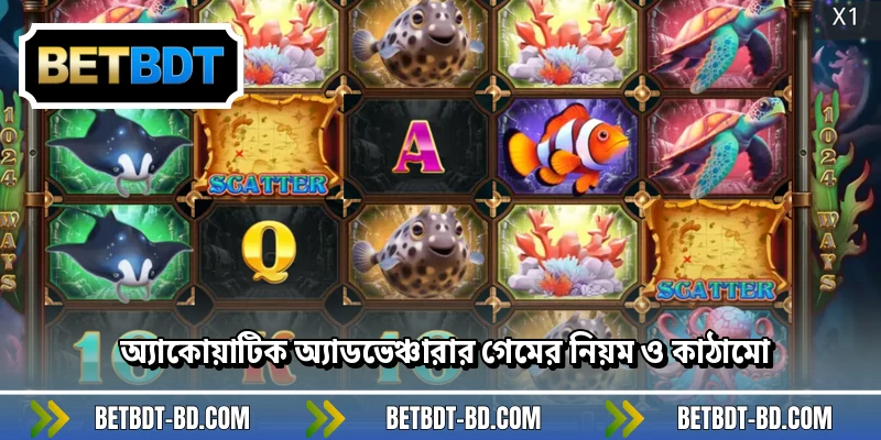 অ্যাকোয়াটিক অ্যাডভেঞ্চারার গেমের নিয়ম ও কাঠামো